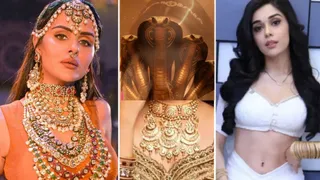 प्रियंका-ईशा के बाद नागिन 7 में इस हसीना की एंट्री/ फोटो- Instagram