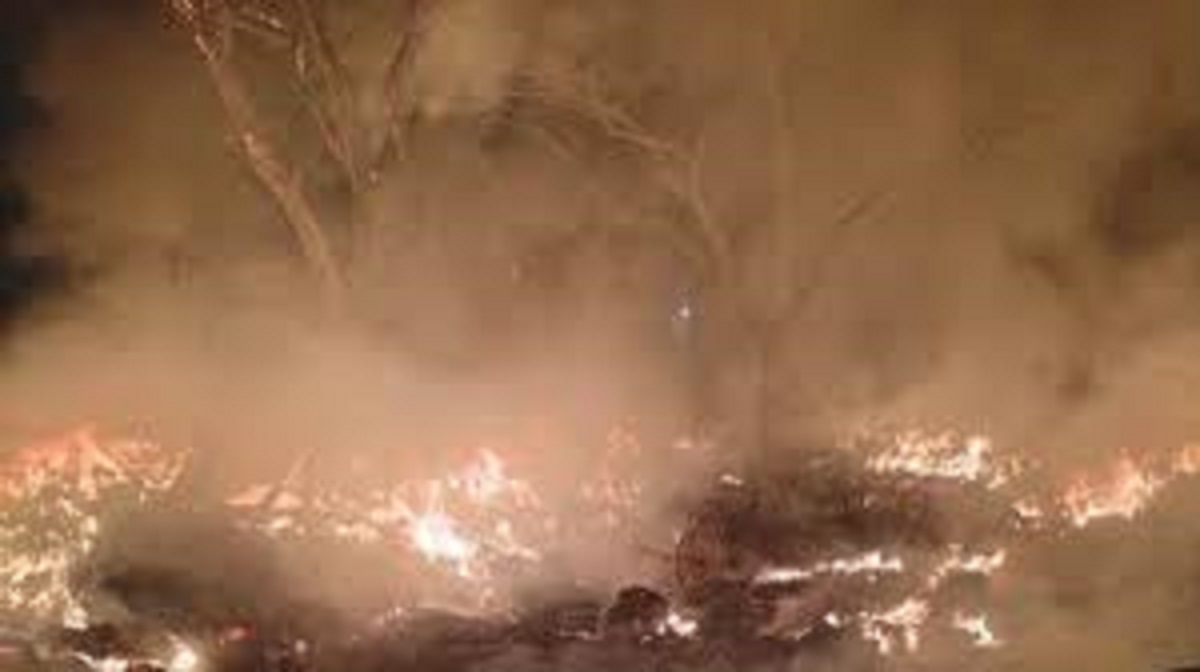 mohali roadside garbage fire causes pollution residents suffer