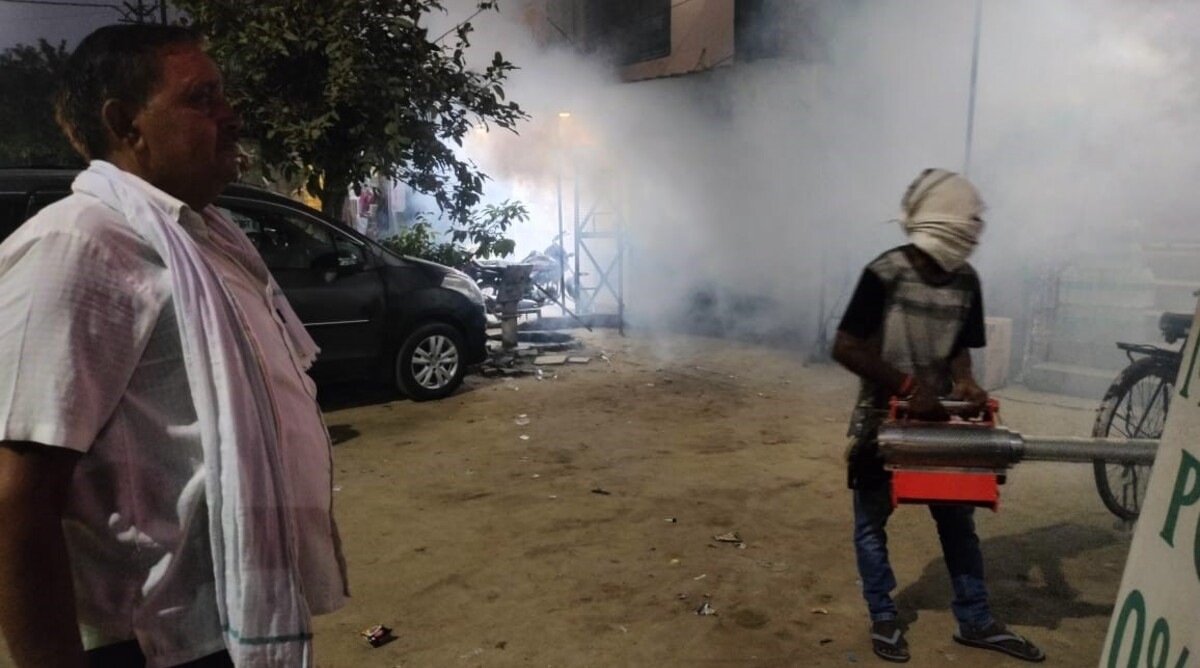 mosquito menace after rain viral fever risk increases