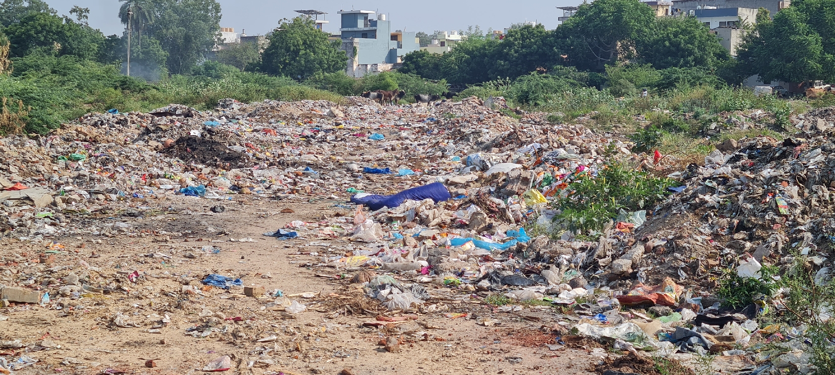 gurugram waste crisis negligence shames cyber city despite crores in budget
