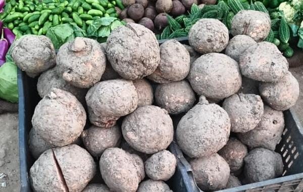 suran vegetable benefits relieve indigestion this diwali