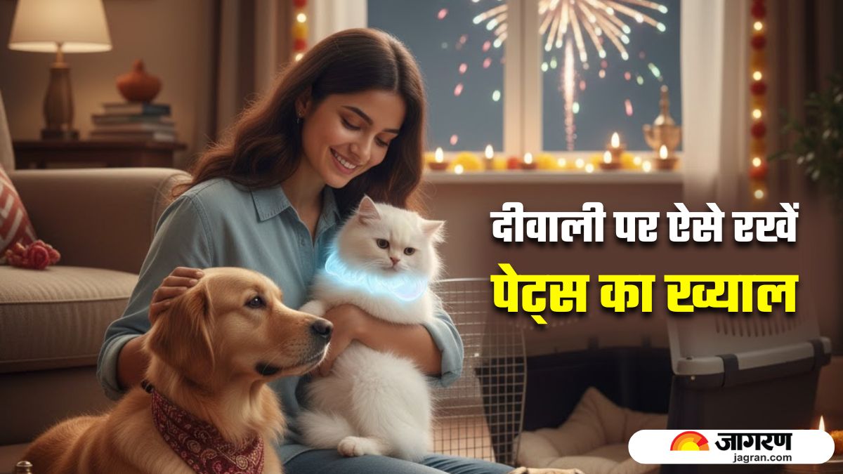 diwali 2025 pet safety guide calm your pets during firecrackers