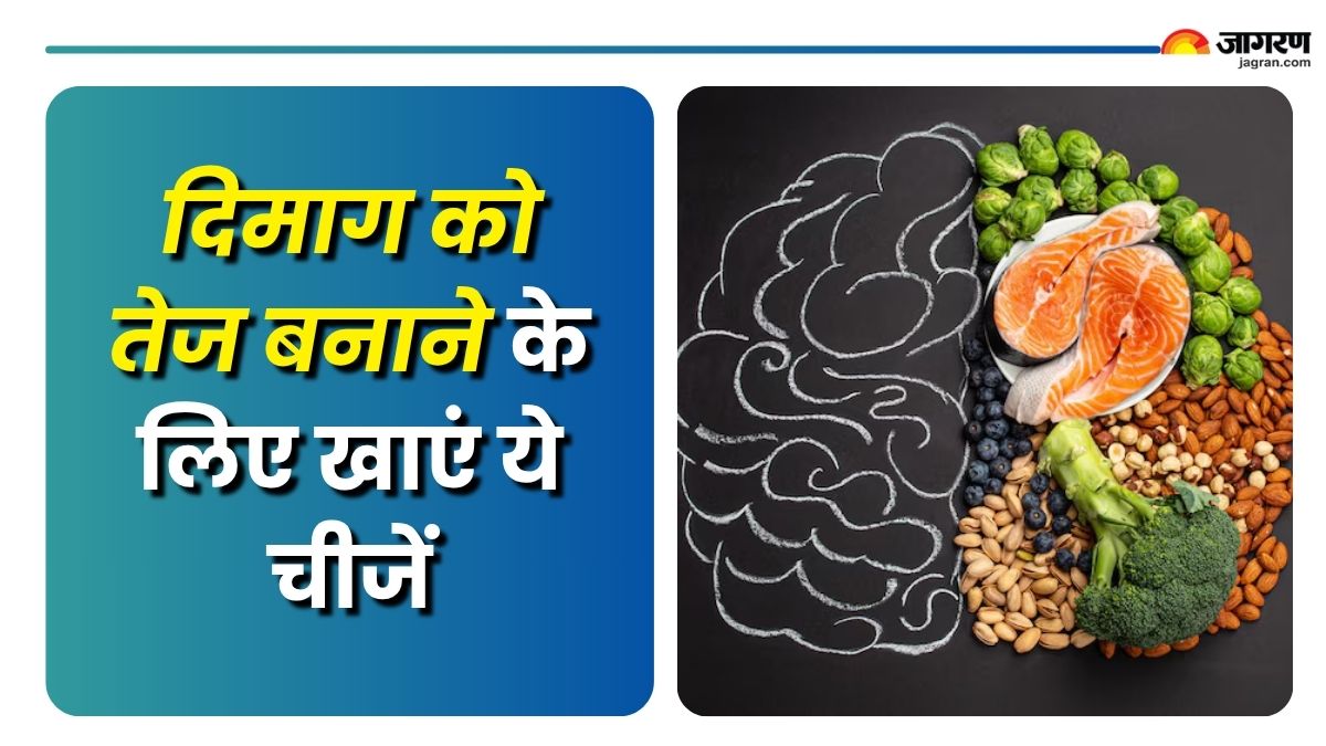 5 foods which can help keep brain healthy check details here