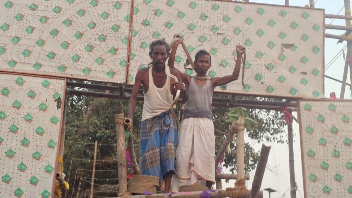 potkas maa mansa jhapan yatra villagers dance with venomous snakes