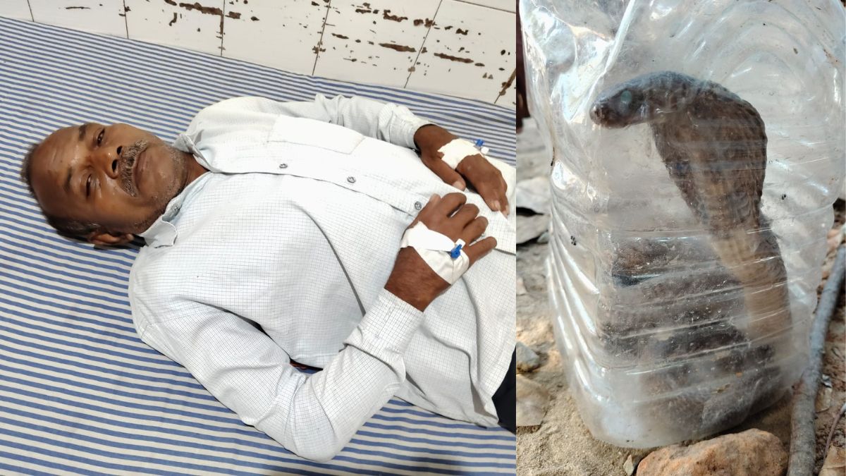 snake charmer brings snake to deoria medical college after bite