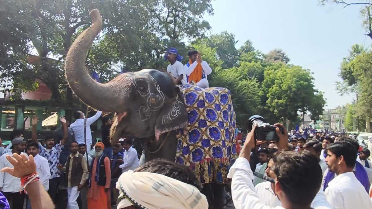 bihar elections bsp candidate arrives to file nomination riding an elephant in kaimur