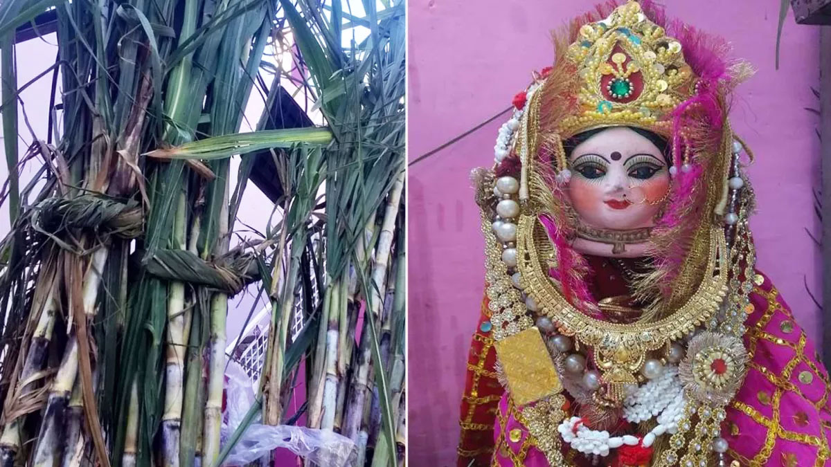 diwali 2025 tradition of worshipping mahalaxmi idols made from sugarcane stems in kumaon