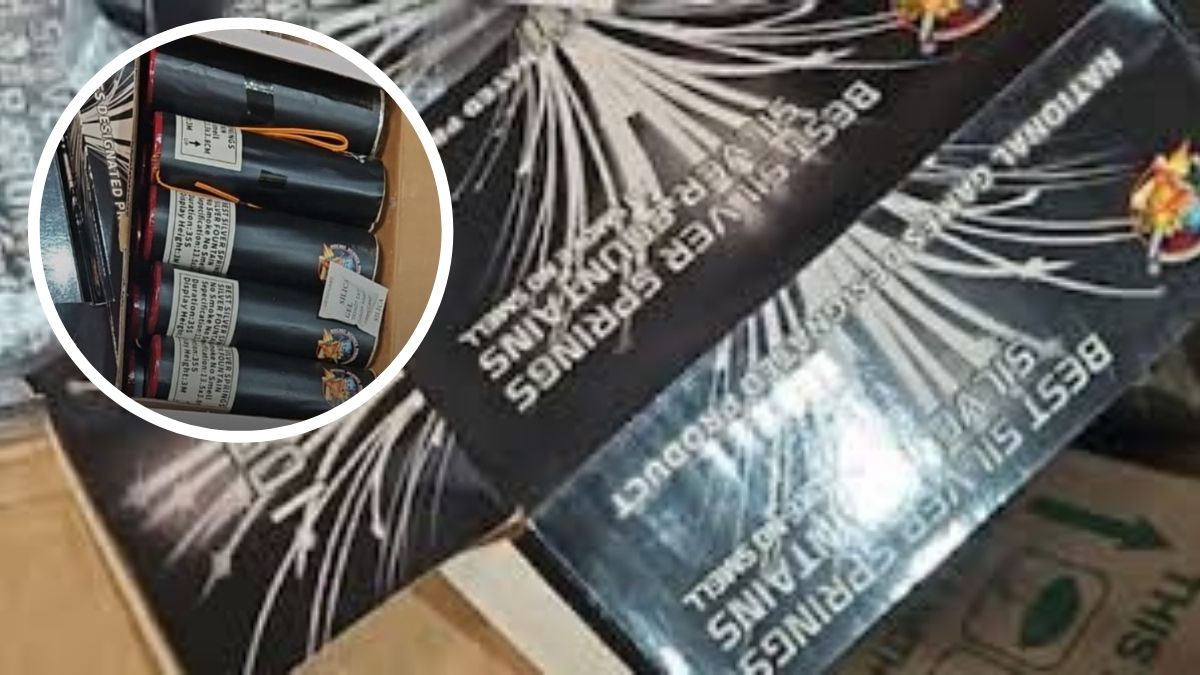 dri seizes 482 crore worth banned firecrackers in mumbai on diwali