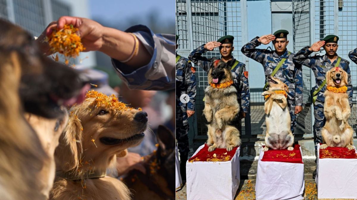 nepal armed police force celebrate kukur tihar during diwali in kathmandu