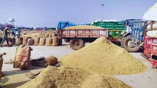 रेवाड़ी मंडी के किसानों के लिए महत्वपूर्ण सूचना है।