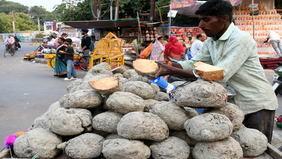 diwali 2025 why suran is eaten on diwali health benefits and tradition