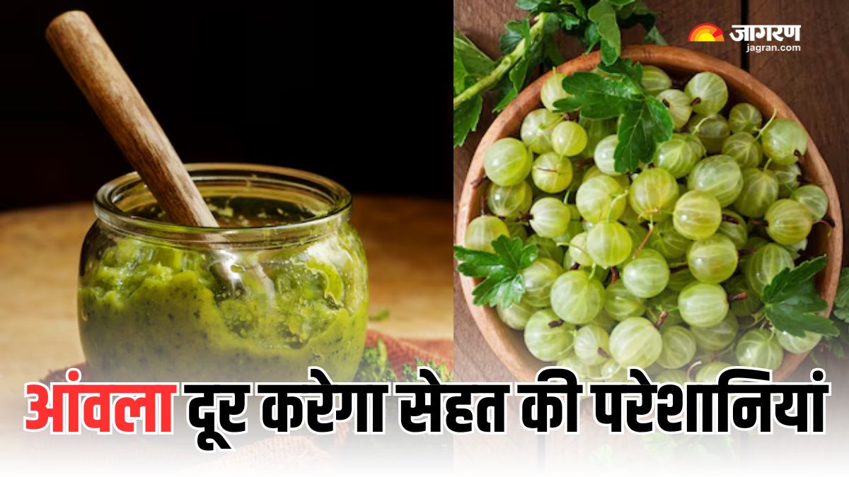 benefits of eating one amla every morning check details here