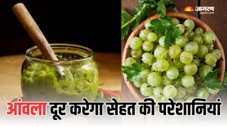 आंवला खाने से सेहत को मिलेंगे ढेरों फायदे (Picture Courtesy: Freepik)