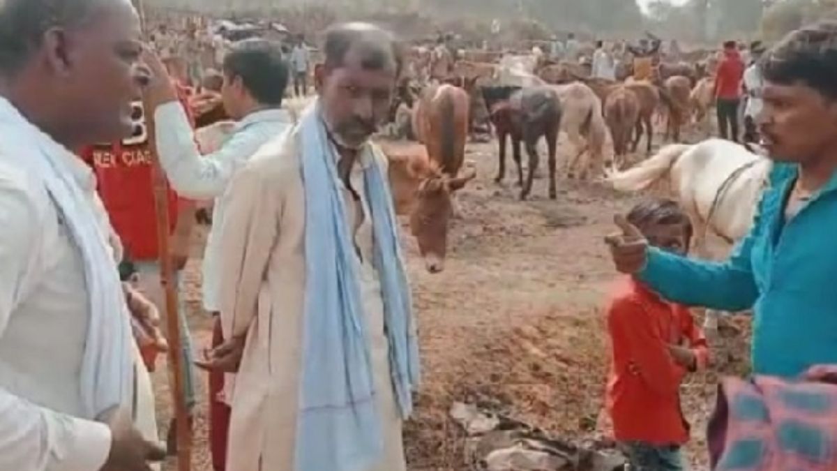fiveday donkey fair to begin in chitrakoot on tuesday