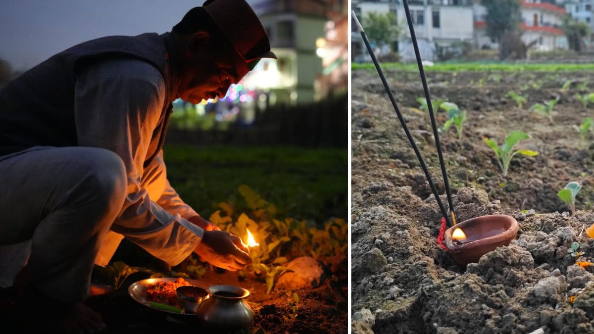 unique diwali celebration earth worship in mandi himachal pradesh