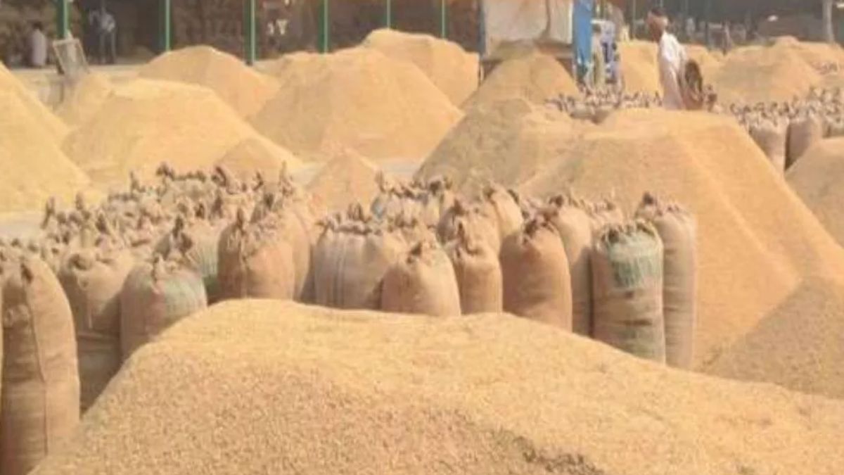 bhakiyu writes to pm modi alleges scam in paddy procurement in haryana