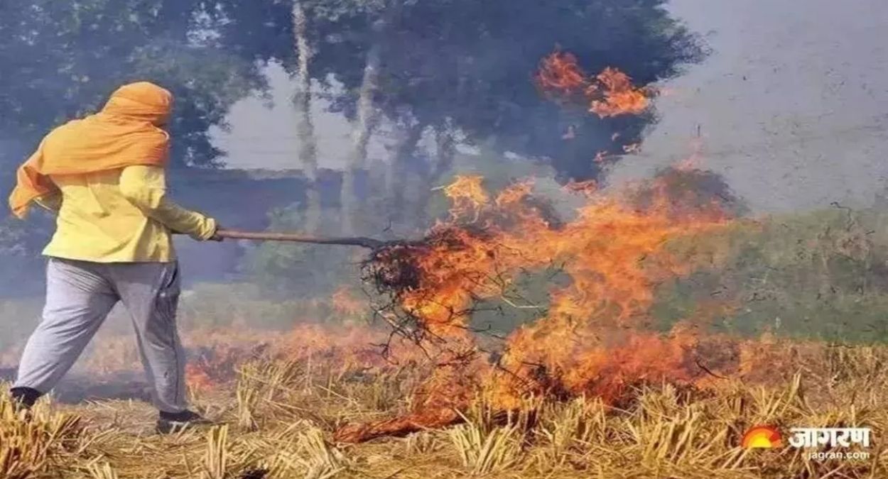 fir registered in five cases of stubble burning on diwali