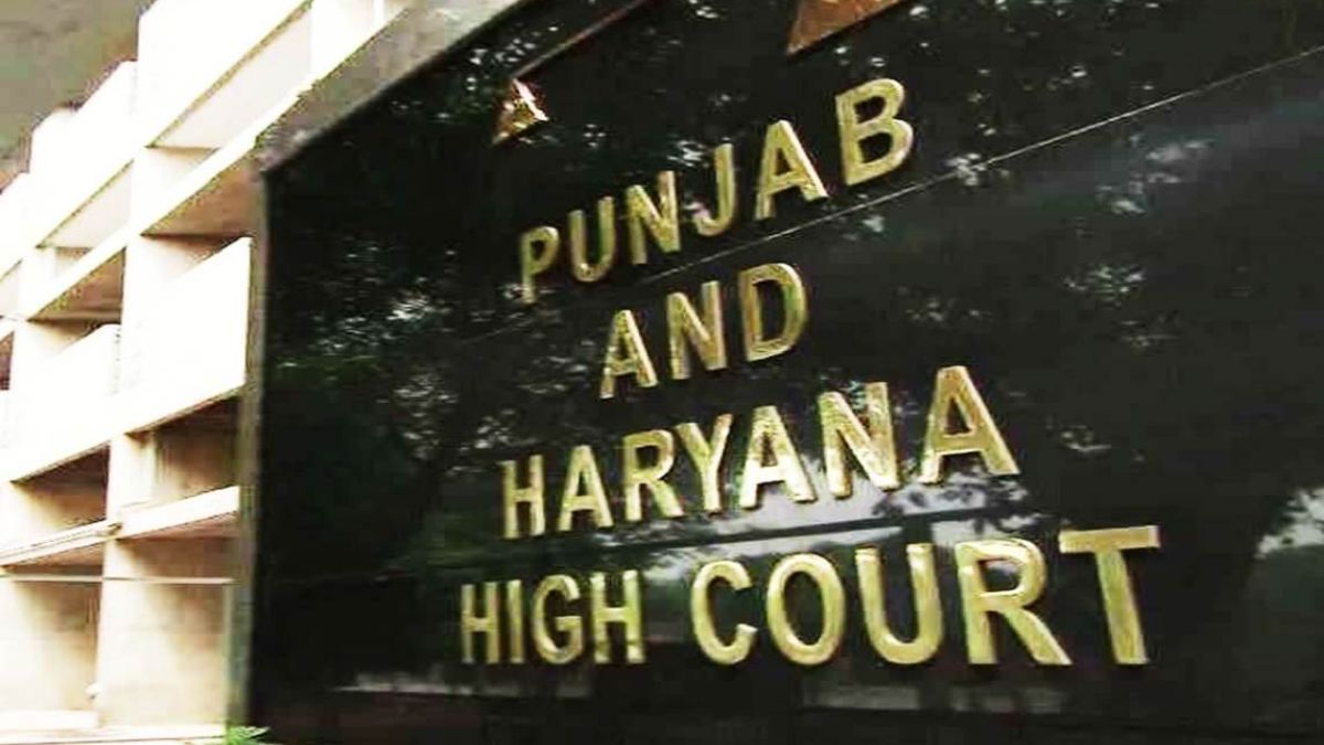 76 lawyers of punjabharyana high court get diwali gift appointed as senior advocates