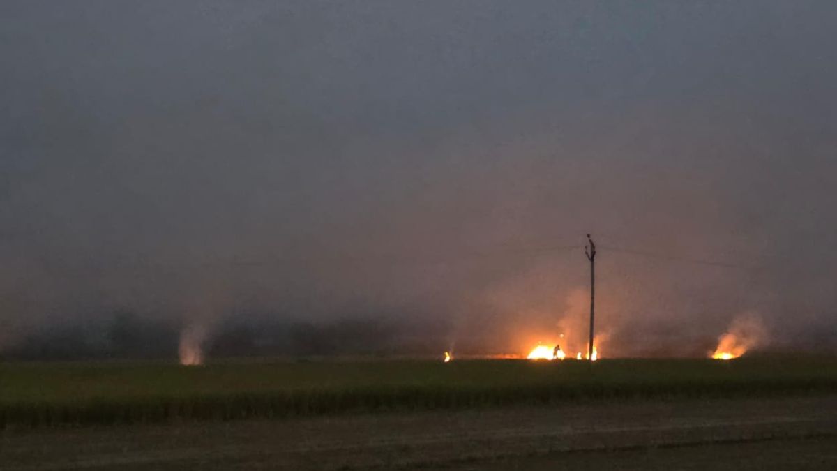 farmers burnt a lot of stubble under the guise of diwali officials showed no fear