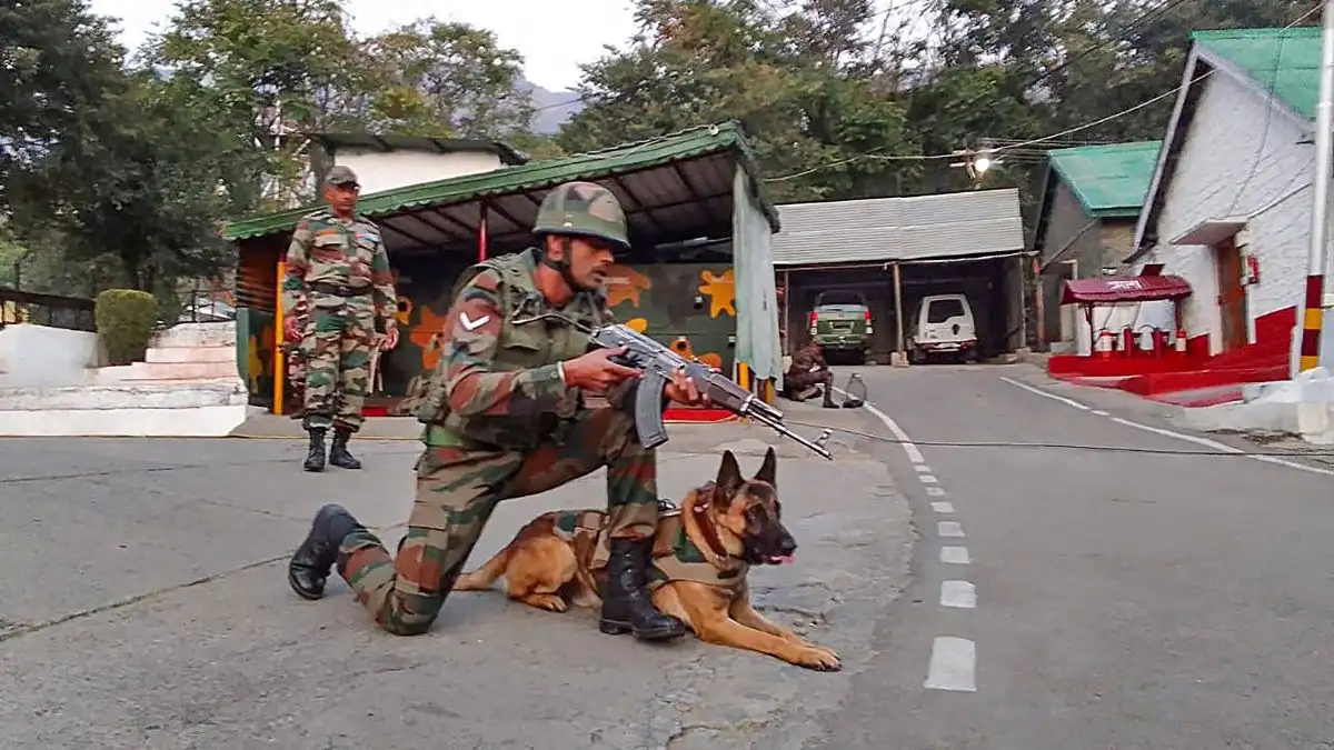 indian dog breeds to march in national unity day parade