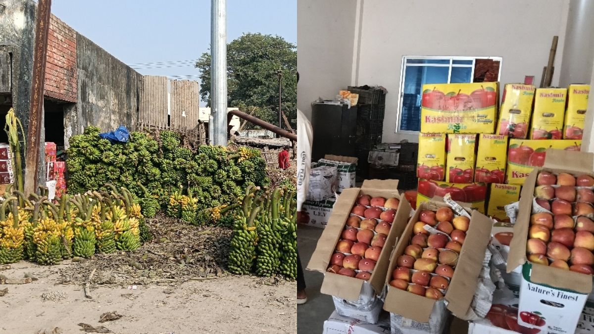 chhath 2025 arghya will offered chhathi maiya with bananas from karnataka