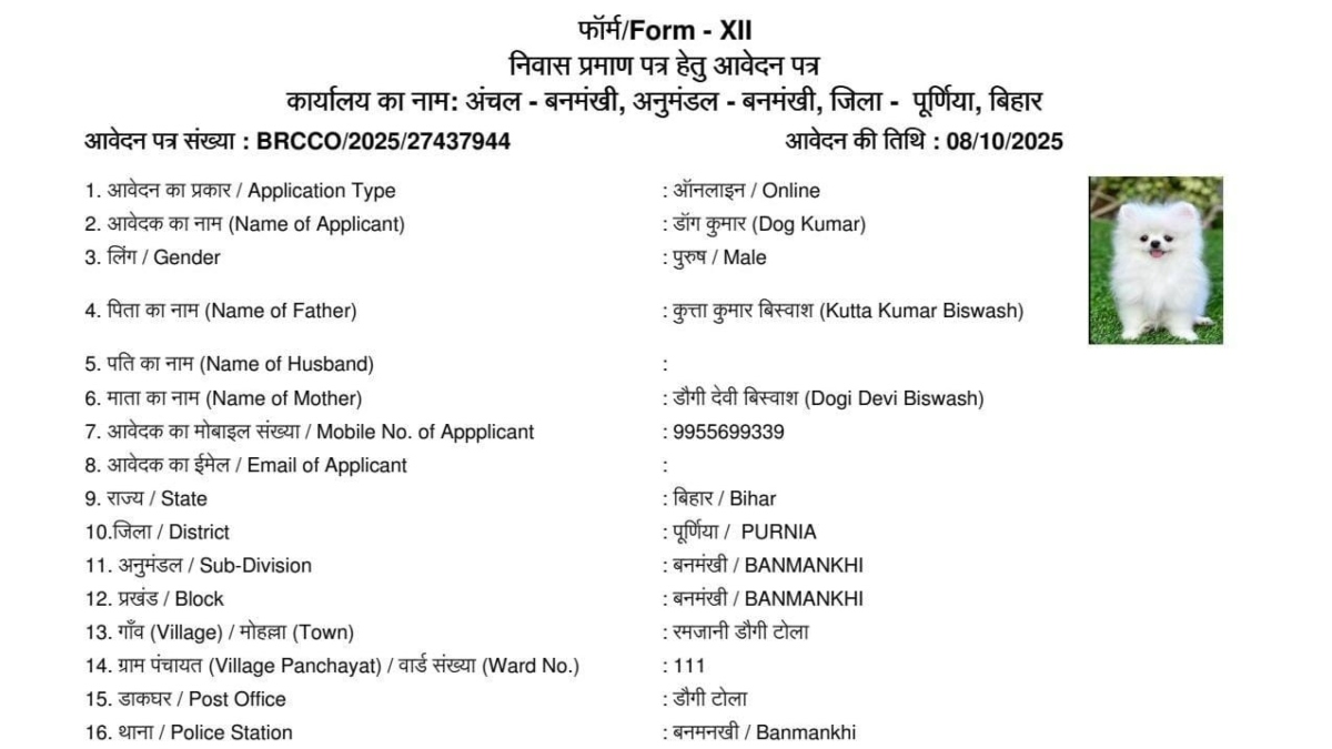 dog kumar residence certificate application fraud in banmankhi