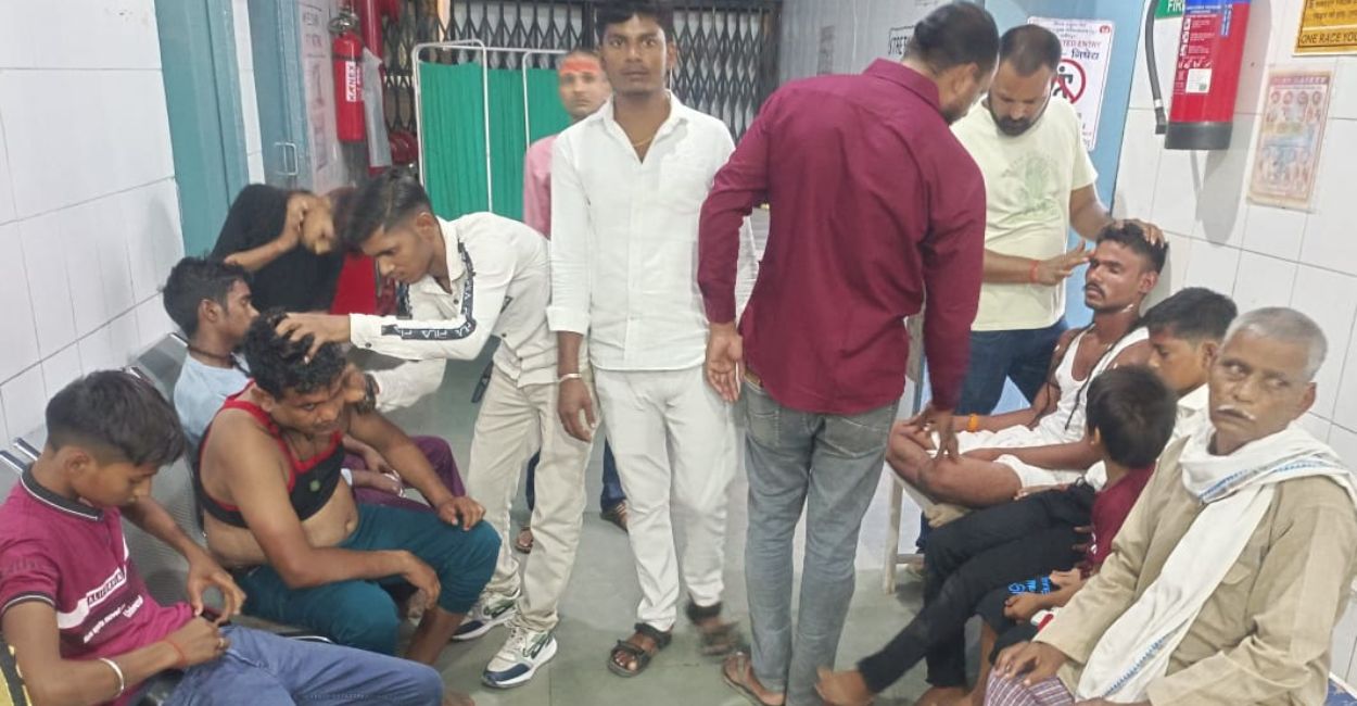 bees attack monks sitting under peepal tree in hamirpur 15 injured