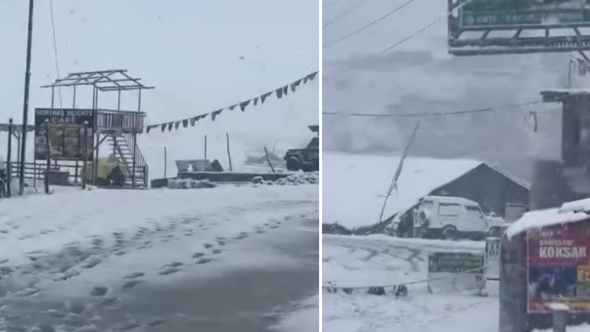 manali snowfall fresh snowfall attracts tourists to himachal pradesh