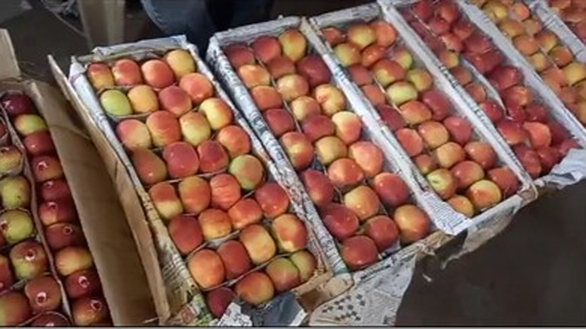 chhath puja preparations fruit market gears up in patna