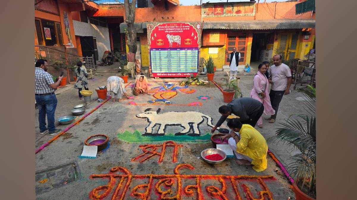 govardhan puja cow dung mountain prepared in chandigarh for worship