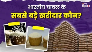 सऊदी अरब, ईरान और इराक जैसे देश भारत से खरीदते हैं चावल