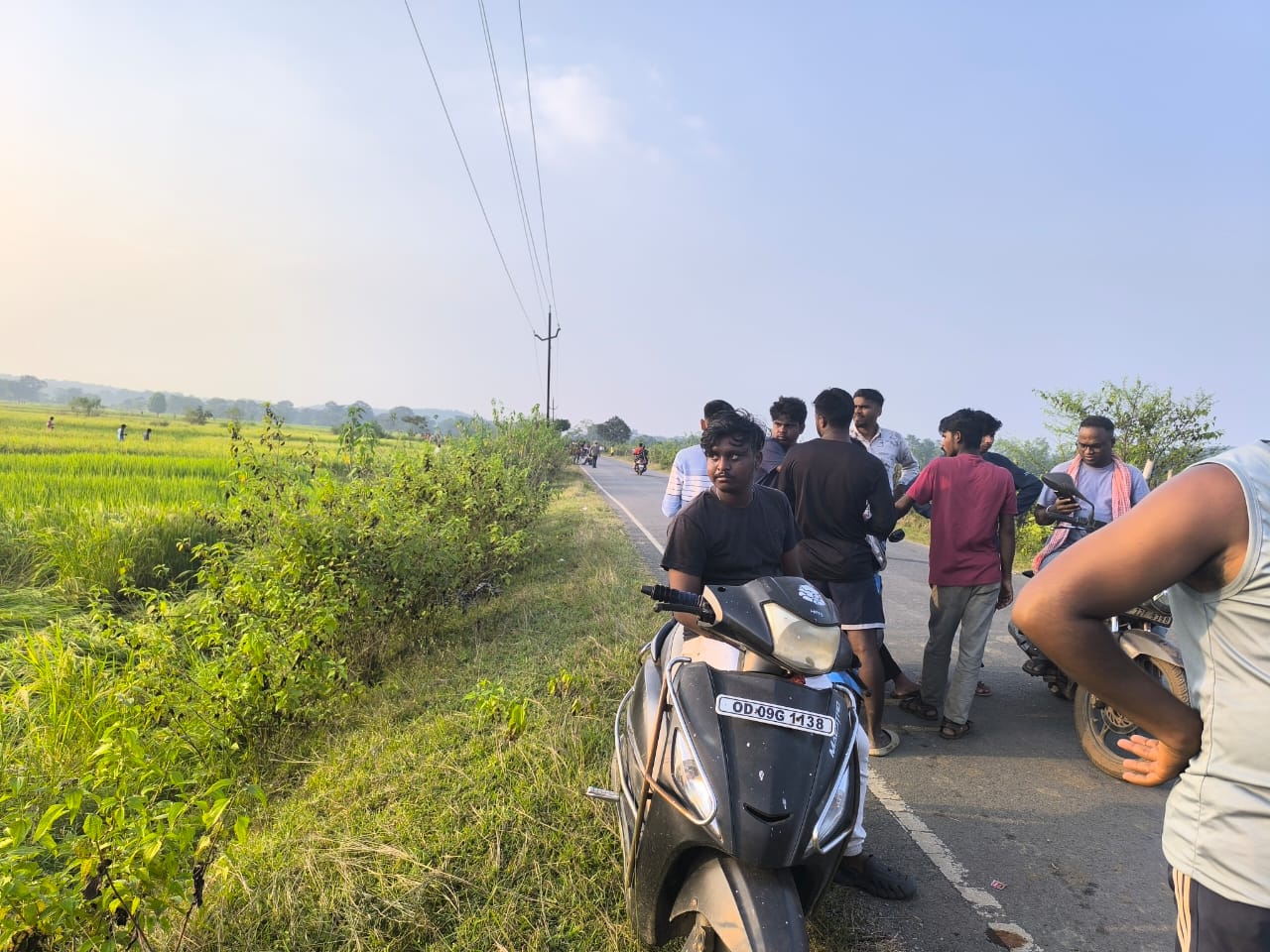 elephant attack in chaibasa man killed by wild elephant
