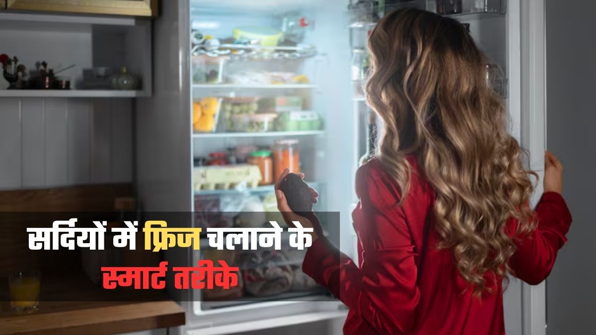 winter fridge tips save electricity and extend refrigerator lifespan with proper defrost and cooling maintenance