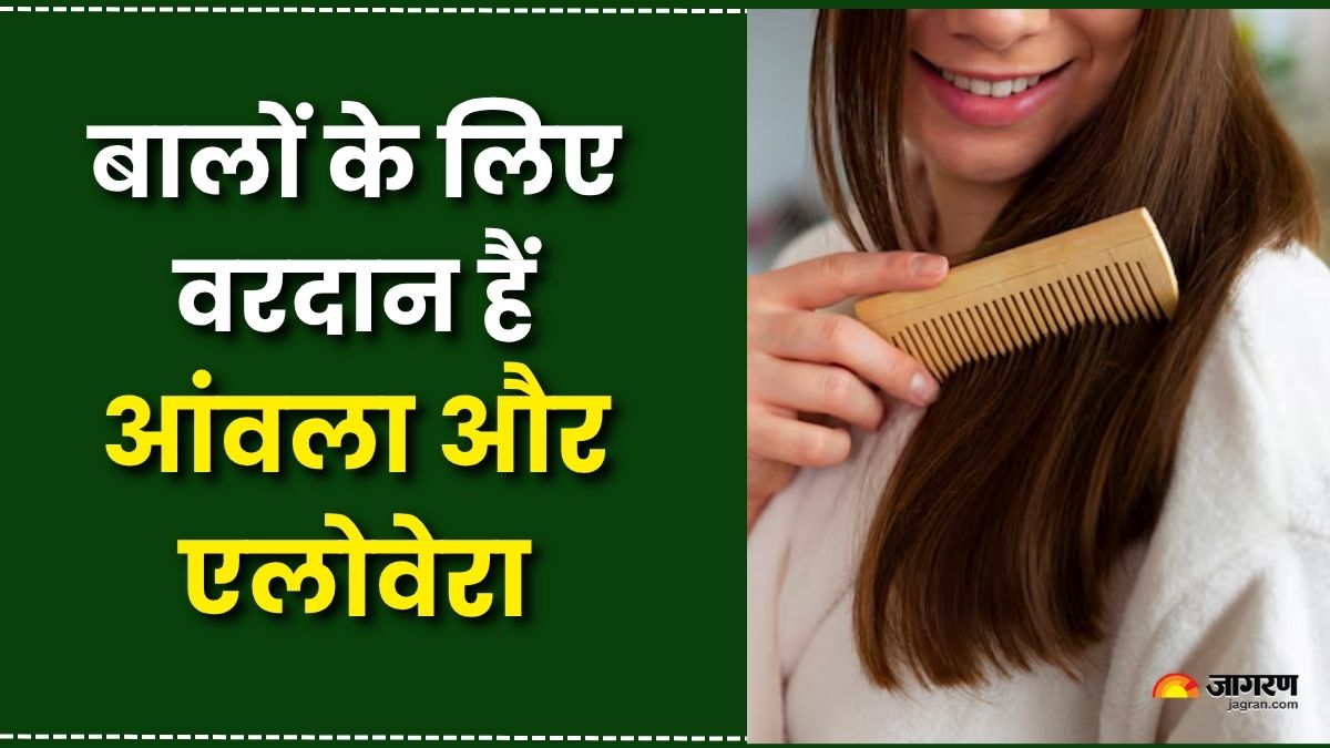 4 ways to use amla and aloevera to stop dandruff and hair fall check details here
