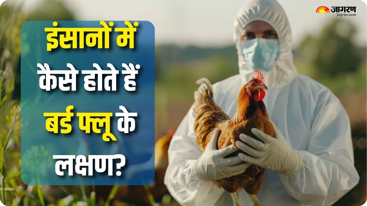 france raises bird flu alert know if it can infect humans and how dangerous is it check details here