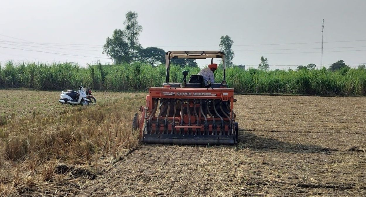 dwd 332 wheat variety high yield potential for farmers