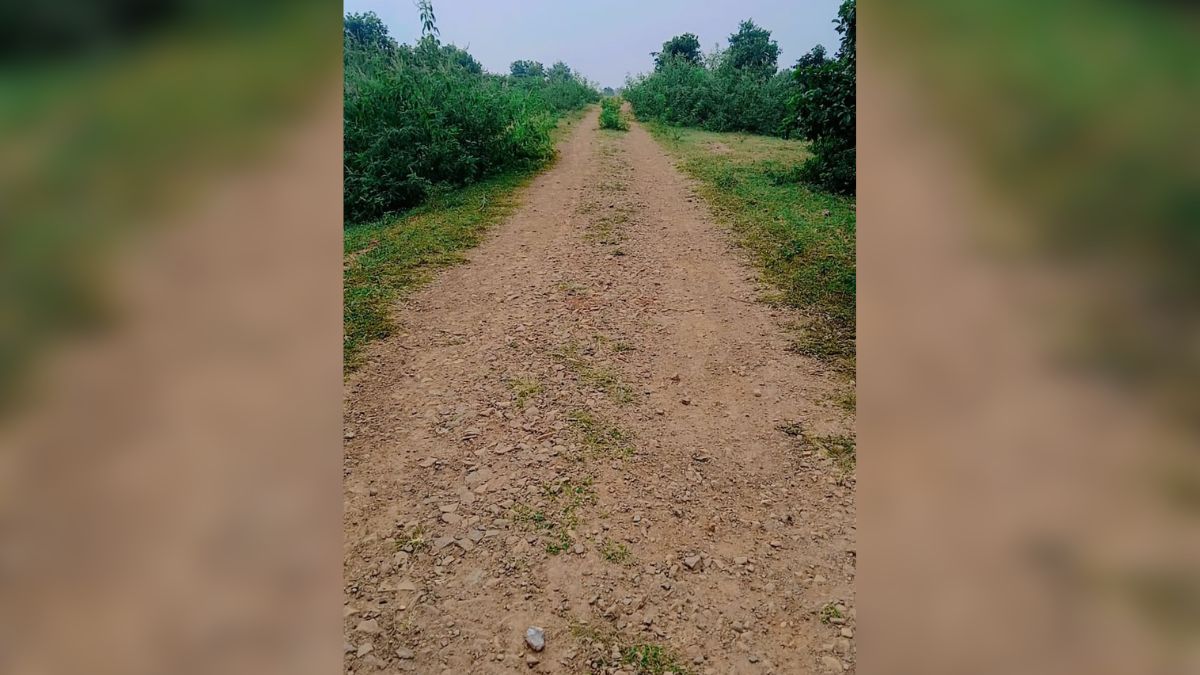 rohtas road project delayed 11km awaited in bihar