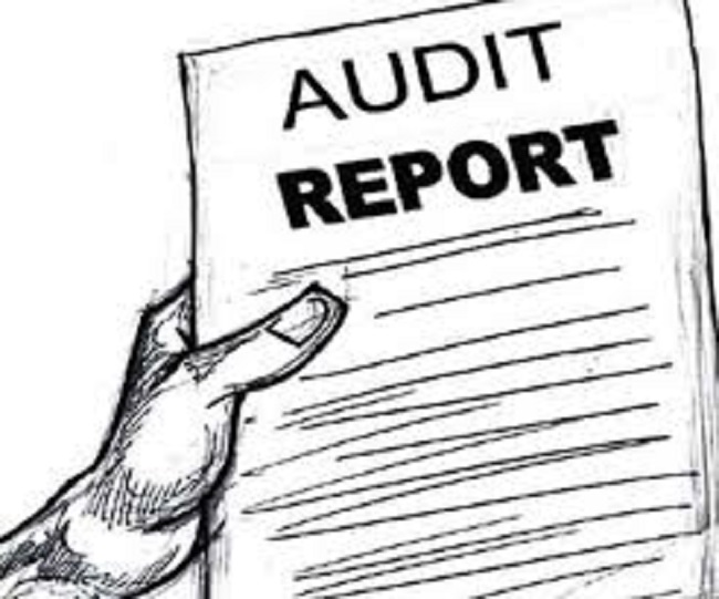 audit report exposes departmental flaws