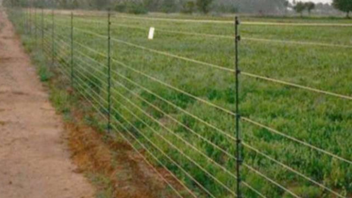 varanasi zone directives issued on illegal electric fencing deaths