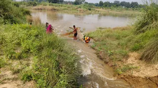 बंधे में लगभग सात कुंतल मछली मरकर उतराने लगीं।