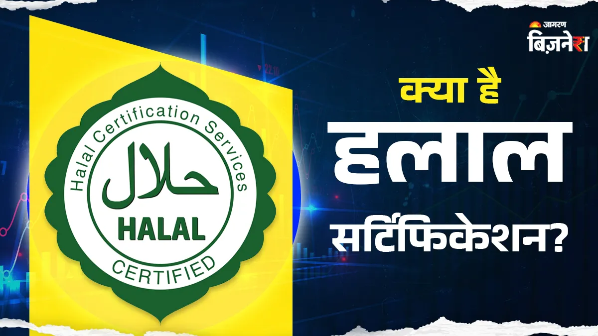 क्यों दिए जाते हैं Halal Certification, पैकेट पर कहां होता है यह मार्क, कौन-सी कंपनियां देती हैं यह सर्टिफिकेट

