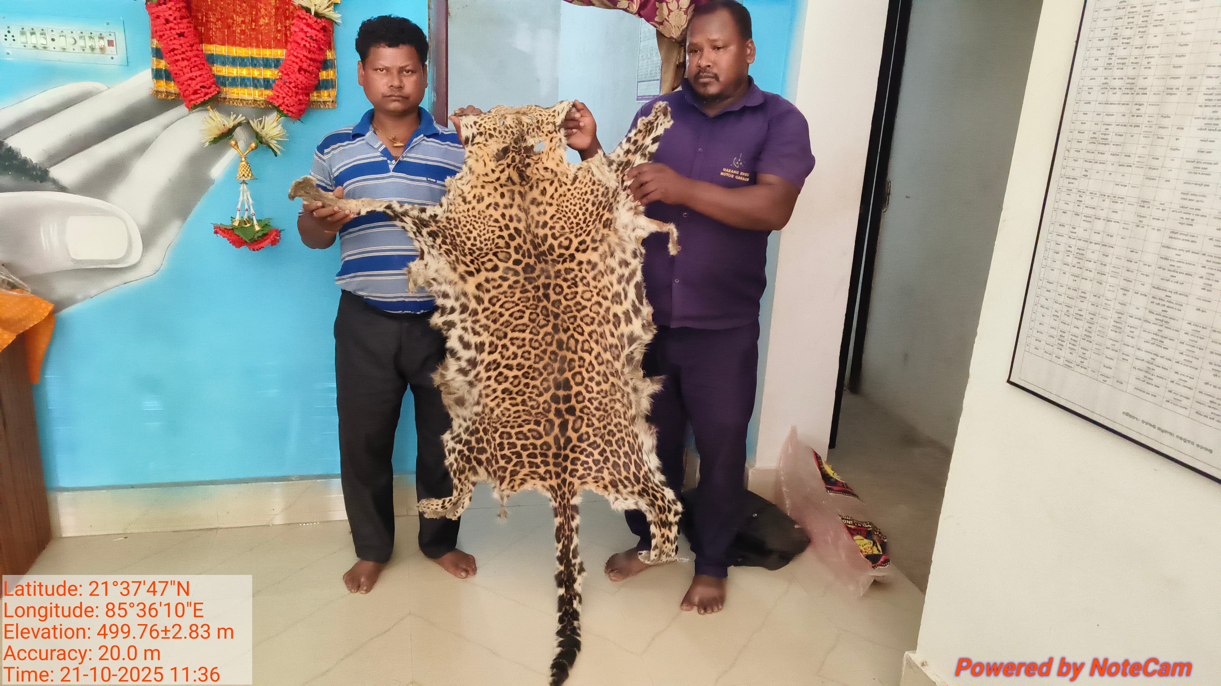 wildlife smuggling bihar criminals arrested in odisha with leopard skin
