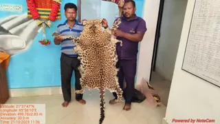 ओडिशापुुलिस द्वारा जब्त की गई तेंदुए की खाल।