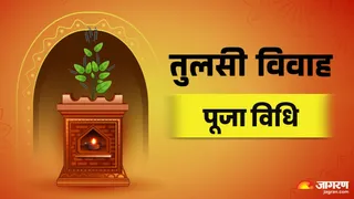 Tulsi Vivah 2025: तुलसी विवाह का महत्व।
