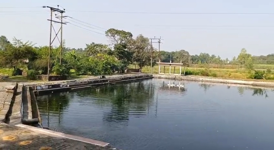 chhath puja preparations selakui gangbheva baori ready for devotees