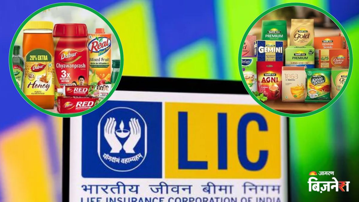 lic raises stake in dabur and tata consumer stock price outlook and investment opportunity