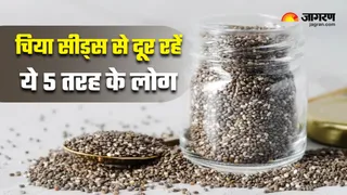 इन लोगों को भूलकर भी नहीं खाने चाहिए Chia Seeds (Image Source: Freepik)
