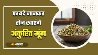 Sprouted Moong Benefits: अंकुरित मूंग खाने के 6 फायदे कर देंगे हैरान (Image Source: Freepik)
