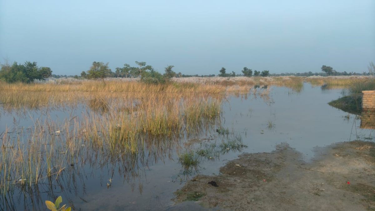 east champaran waterlogging crisis devastates farmlands annually