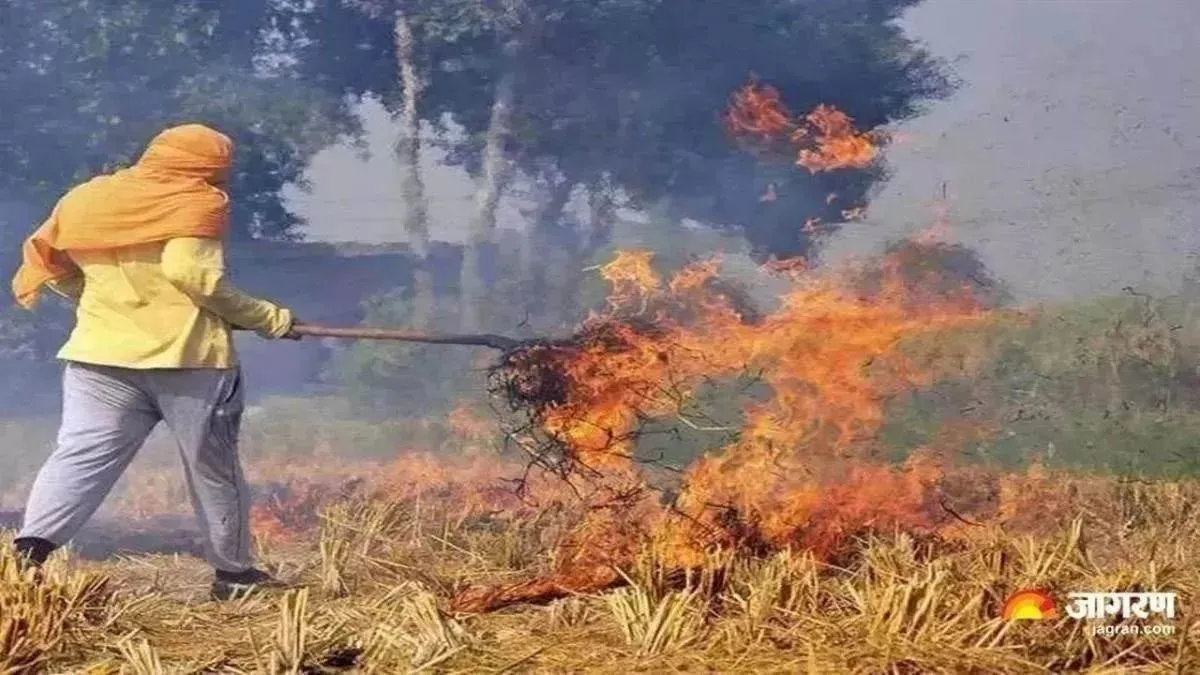 यूपी में पराली जलाने पर किसानों पर लगा जुर्माना, प्रदूषण की रोकथाम के लिए टीम गठित
